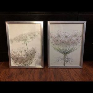 Set of 2 floral print pictures